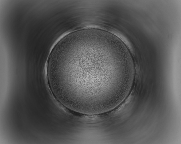 X0000093431198200710121156