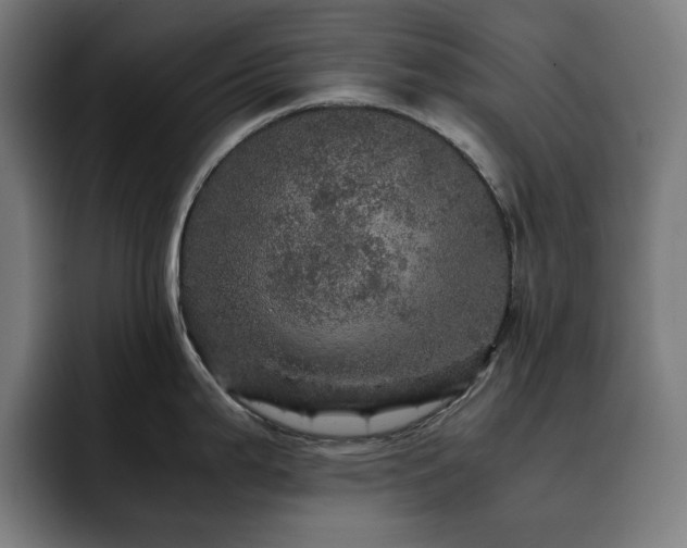 X0000093431199200710121156