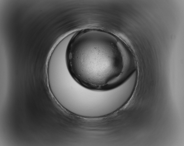 X0000093431200200710121156