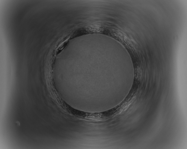 X0000093431201200710121155