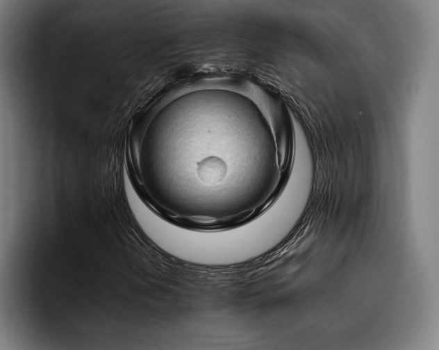 X0000093431202200710121155