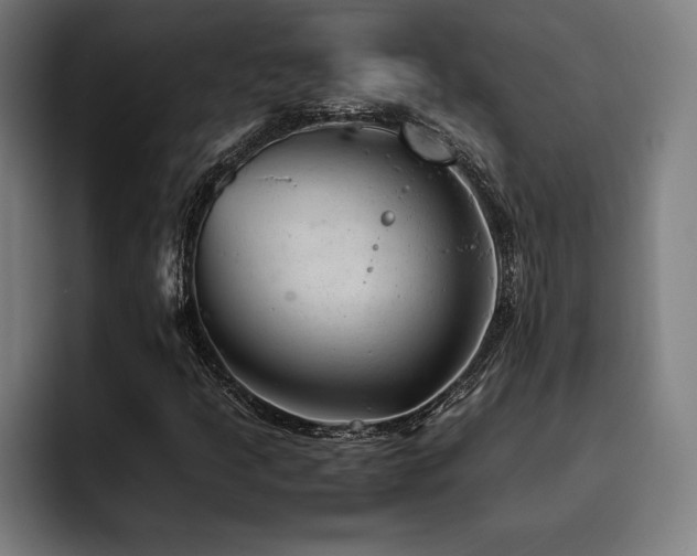 X0000093431205200710121155