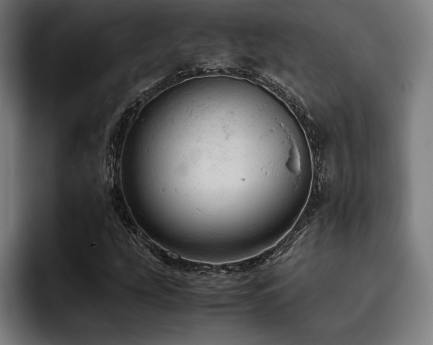 X0000093431207200710121155