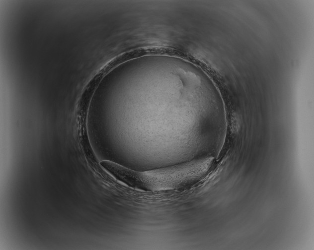 X0000093431208200710121155