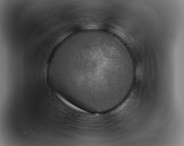X0000093431209200710121155