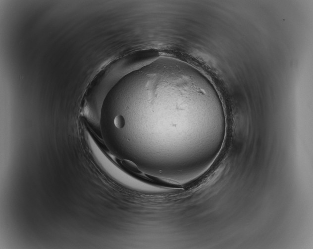 X0000093431210200710121155