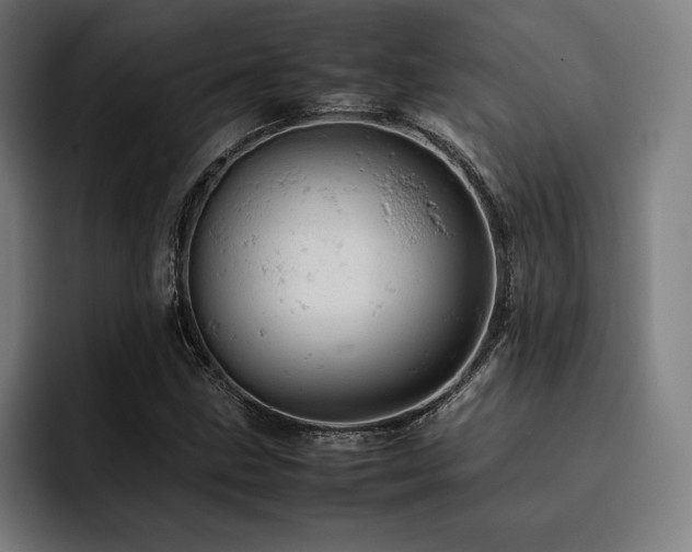 X0000093431211200710121155