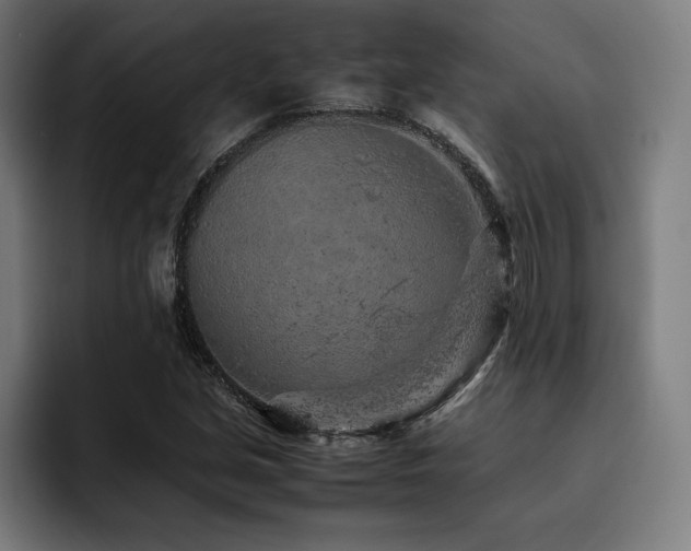 X0000093431213200710121156