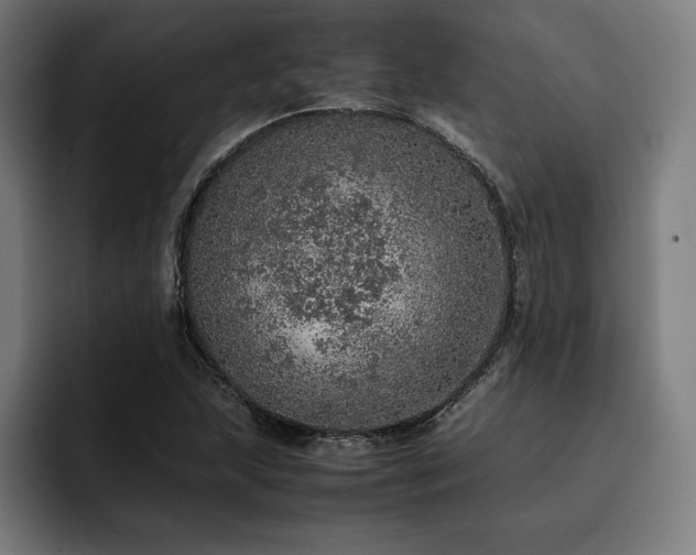 X0000093431215200710121156