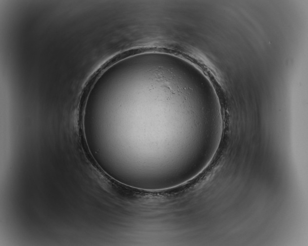X0000093431216200710121156