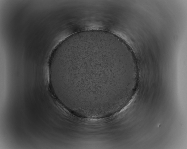 X0000093431219200710121156