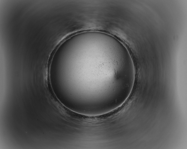 X0000093431220200710121156