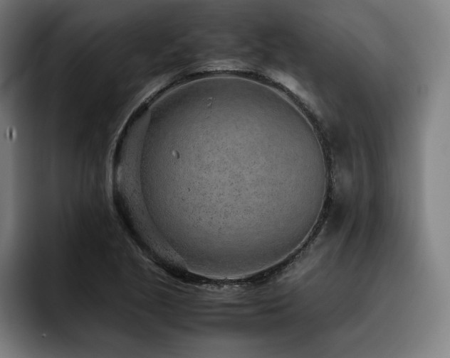 X0000093431221200710121156