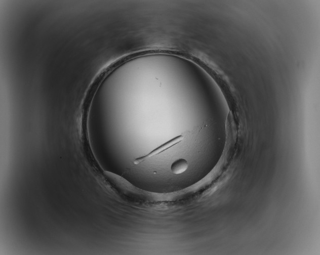 X0000093431222200710121156