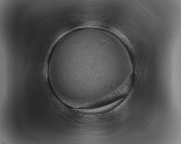 X0000093431224200710121156