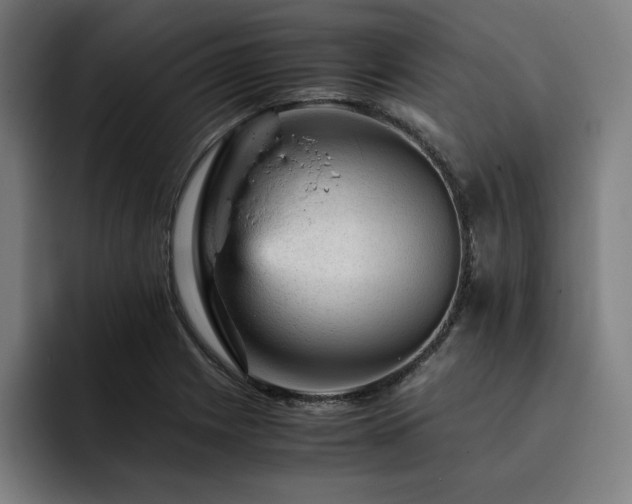 X0000093431225200710121156