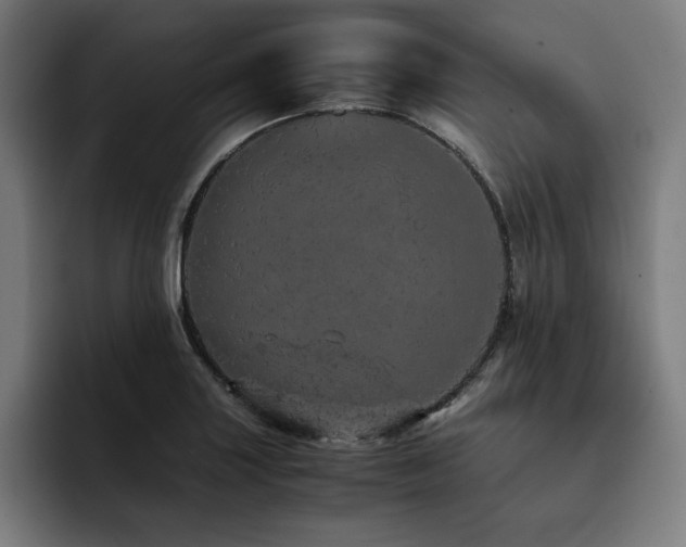 X0000093431227200710121156