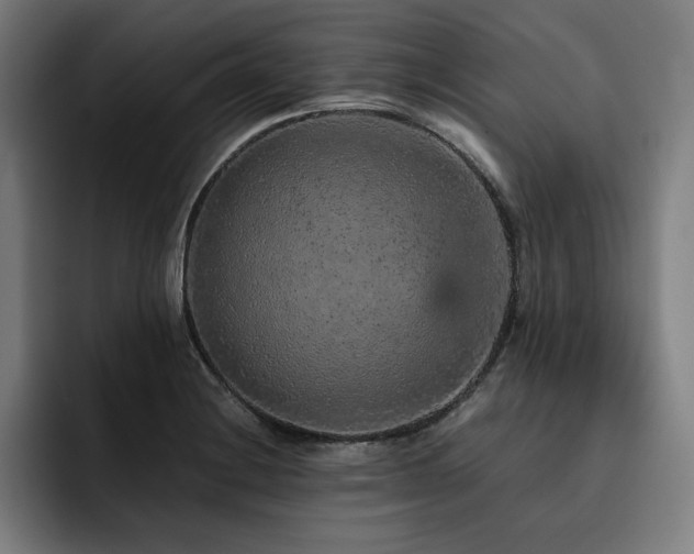 X0000093431228200710121156