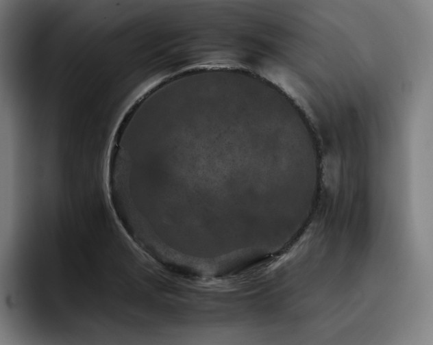 X0000093431229200710121156