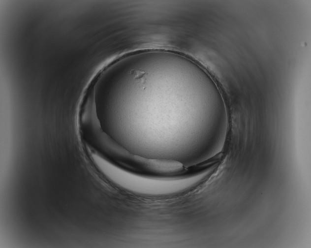 X0000093431230200710121156