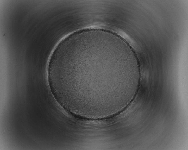 X0000093431232200710121156