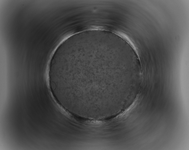 X0000093431235200710121156
