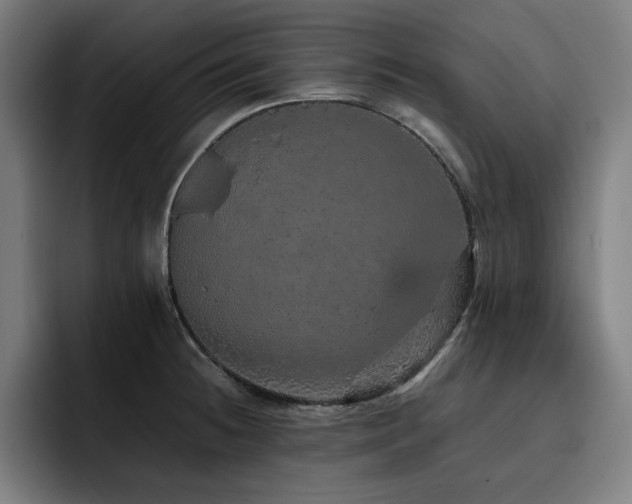 X0000093431236200710121156