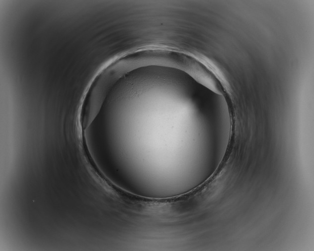 X0000093431238200710121156