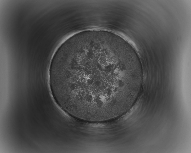 X0000093431239200710121156