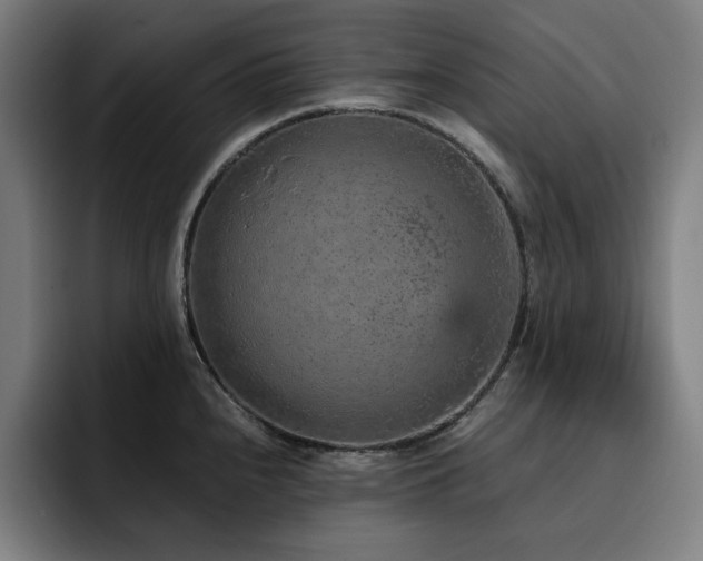X0000093431240200710121156