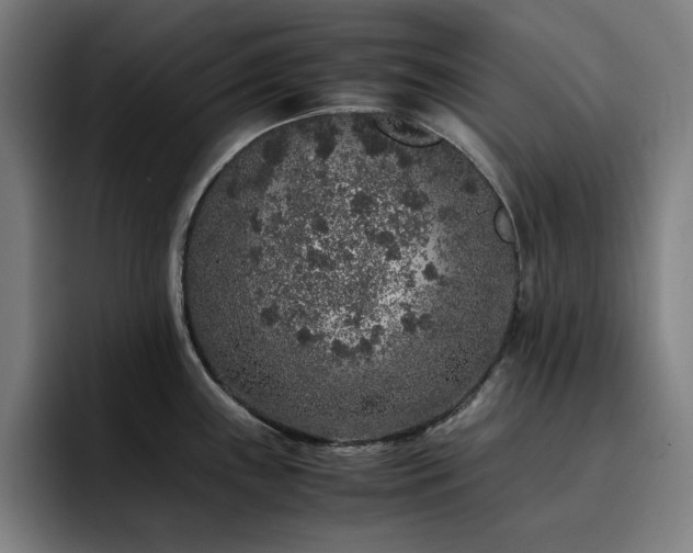 X0000093431243200710121156