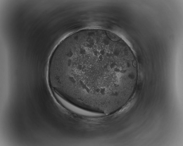 X0000093431245200710121156