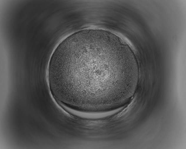 X0000093431247200710121156