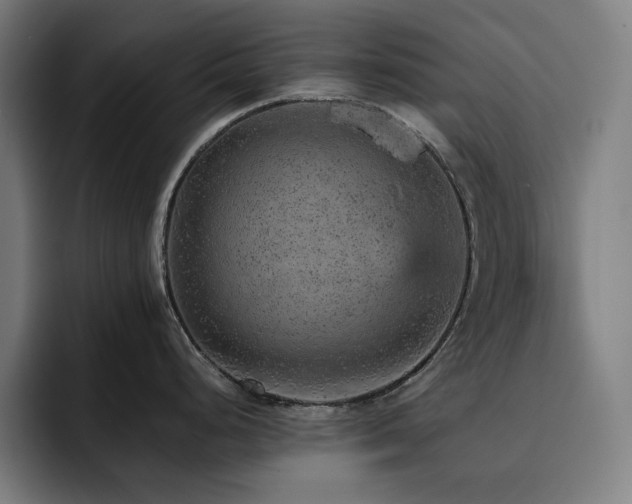 X0000093431248200710121156