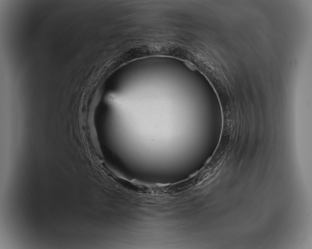 X0000093431249200710121155
