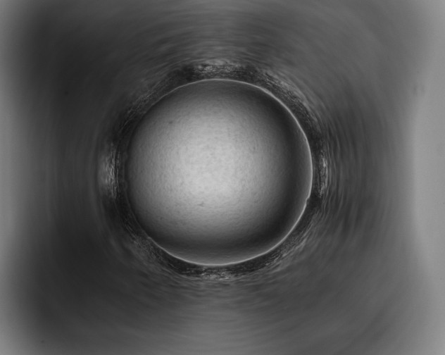 X0000093431250200710121155
