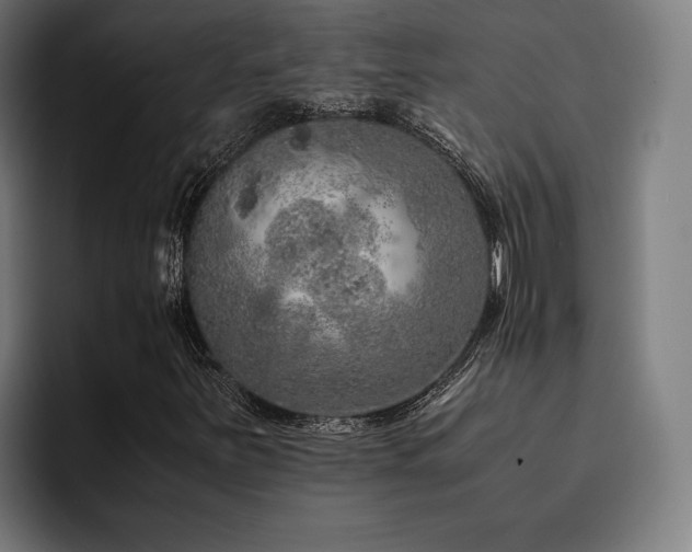 X0000093431251200710121155
