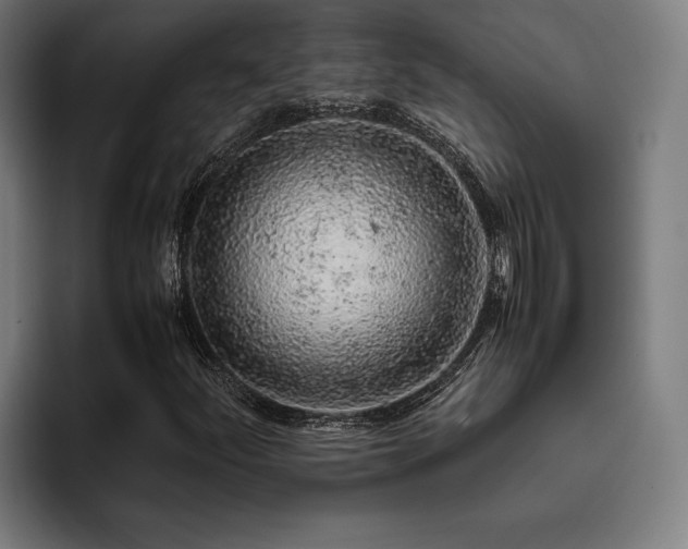X0000093431252200710121155