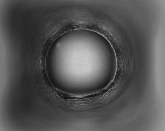 X0000093431253200710121155