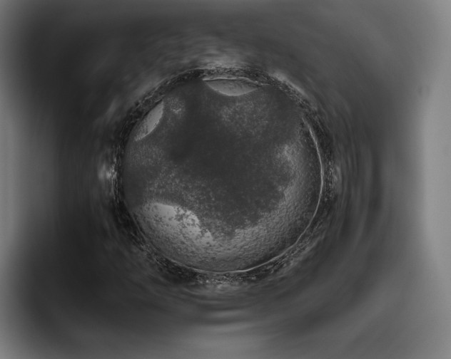 X0000093431254200710121155