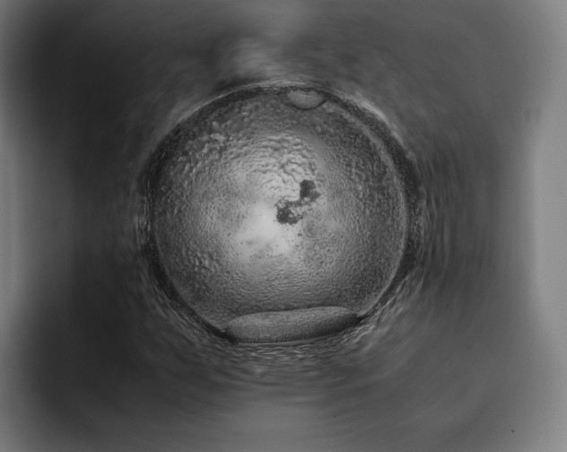 X0000093431255200710121155