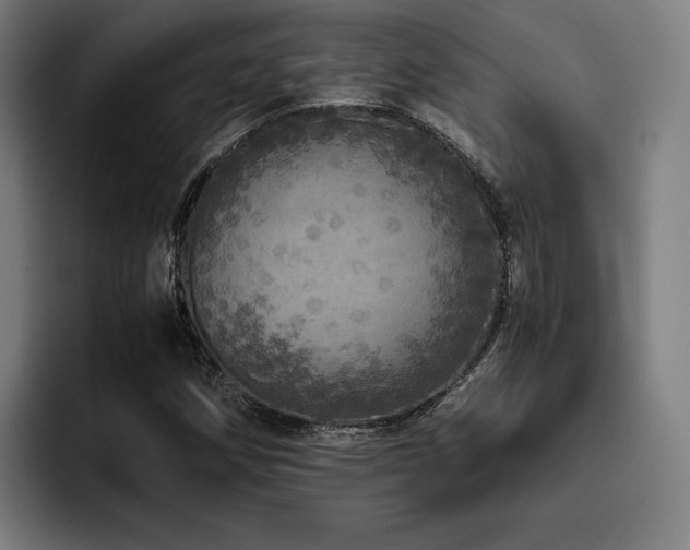 X0000093431258200710121155