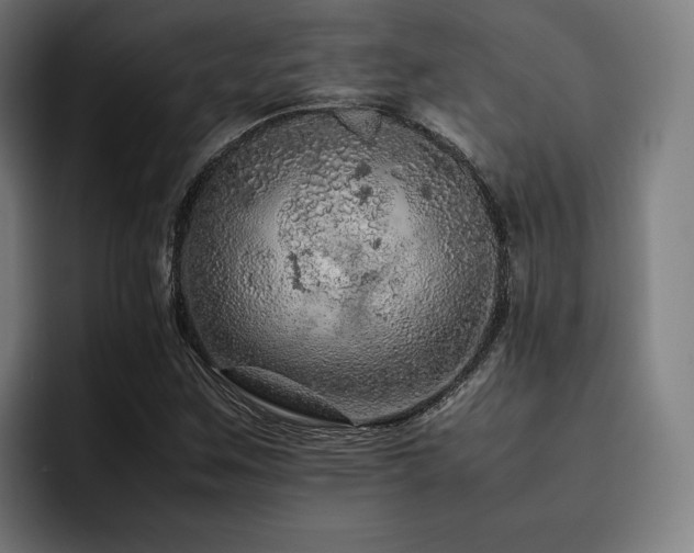 X0000093431259200710121155