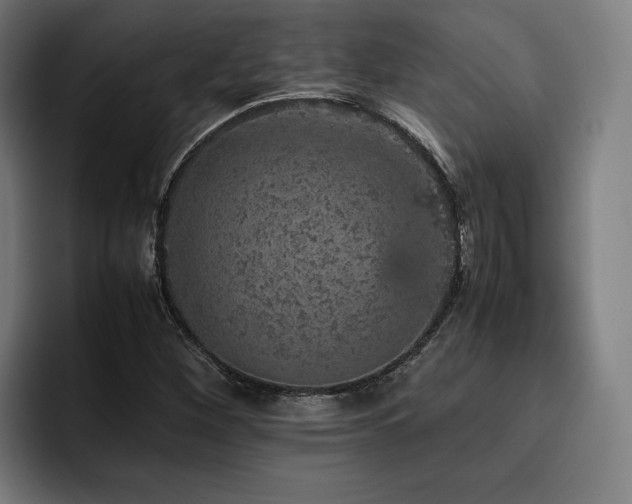 X0000093431260200710121155