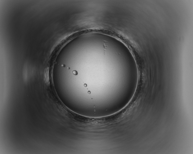X0000093431262200710121155