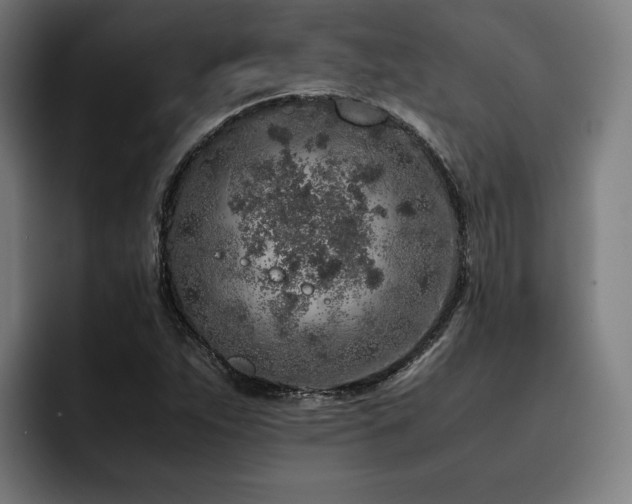 X0000093431263200710121155