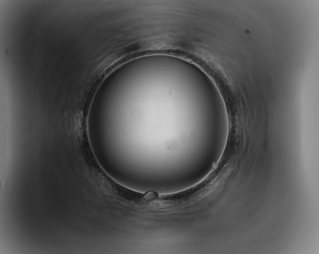 X0000093431265200710121155