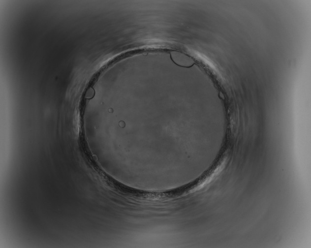 X0000093431267200710121155