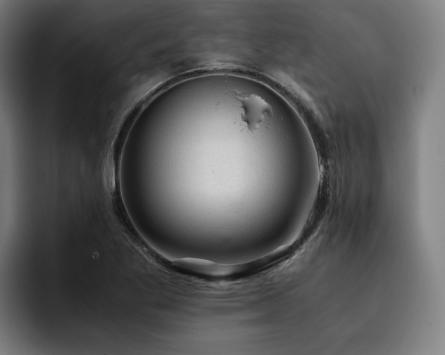 X0000093431269200710121155