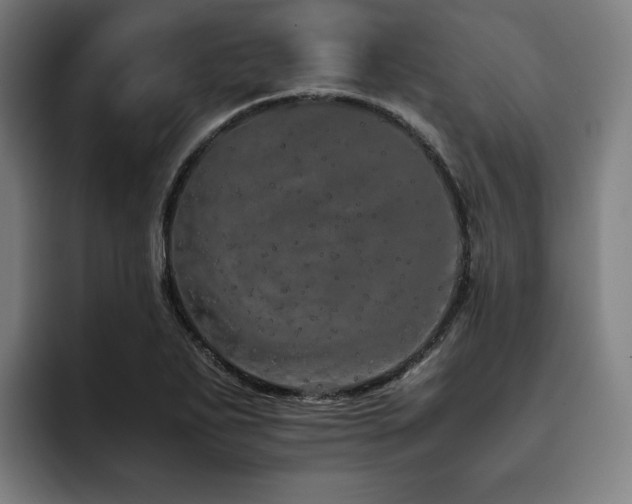 X0000093431271200710121155